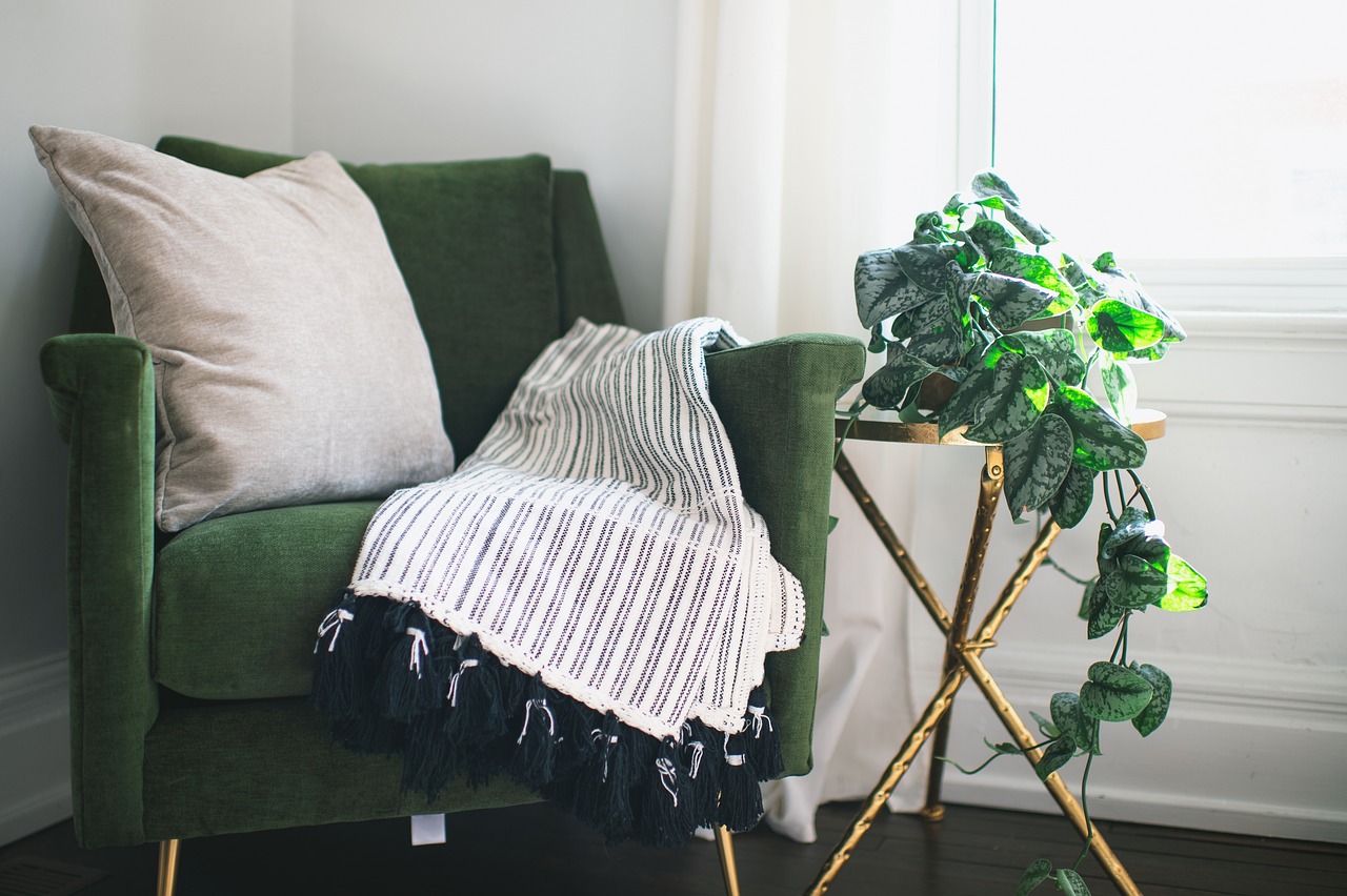 creative-03 chair, home, room, plant, ivy, interior, table, blanket, nature, pillow, curtain, clean, drapes, silver satin ivy, still life