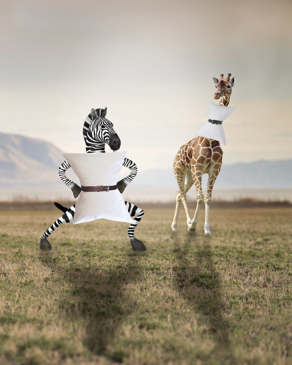 creative-01 zebra, giraffe, pillow, africa, zebra, zebra, zebra, giraffe, giraffe, giraffe, pillow, pillow, pillow, pillow, pillow